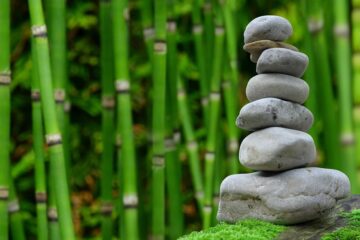 nerf-vague-regulation-emotion-equilibre-psychologue-La-Brede